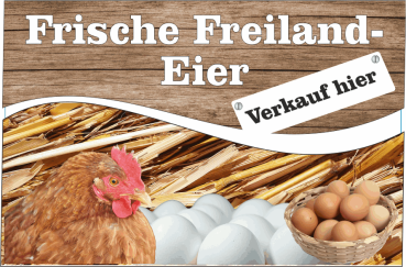 Frische Freiland Eier